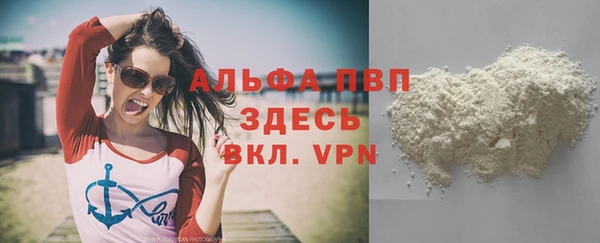 крисы Богородицк