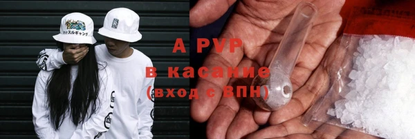 ПСИЛОЦИБИНОВЫЕ ГРИБЫ Богданович