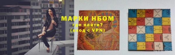 крисы Богородицк