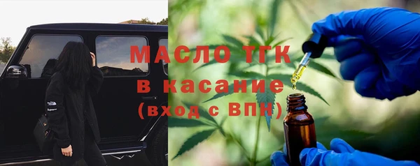 крисы Богородицк