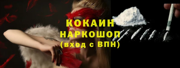 ПСИЛОЦИБИНОВЫЕ ГРИБЫ Богданович