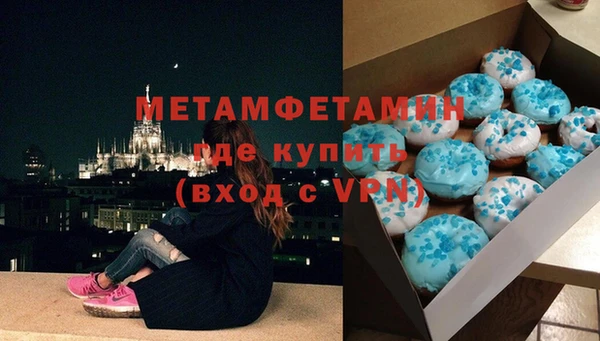 крисы Богородицк