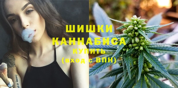 ПСИЛОЦИБИНОВЫЕ ГРИБЫ Богданович