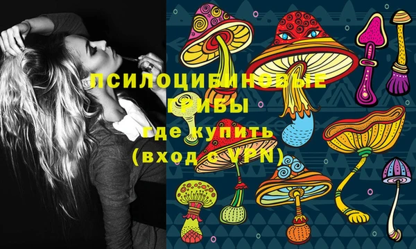 крисы Богородицк