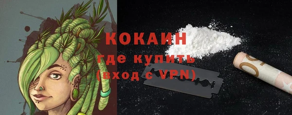 ПСИЛОЦИБИНОВЫЕ ГРИБЫ Богданович